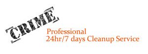 Professional Cleanup Services