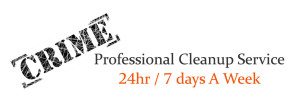 Professional Services