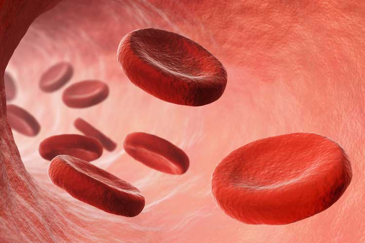 Blood Cleanup-ABT blood and bodily fluid cleanup