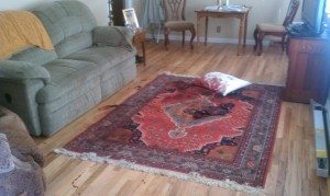 ABT will assist you in home accident cleanups.