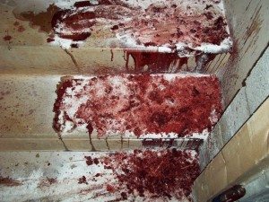 Oakland, CA stabbing and blood cleanup
