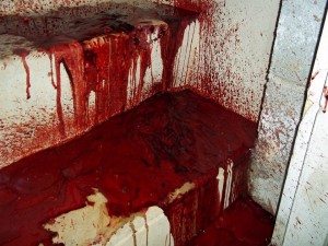 Tampa murder and blood cleanup