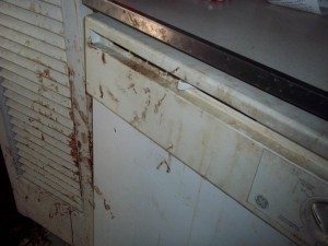 Unattended murder suicide cleanup in Florida