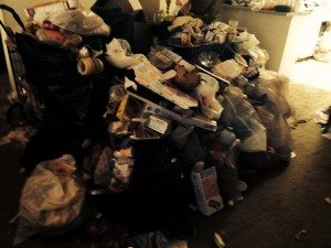 Georgia Hoarding