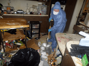 Unsafe Hording Living