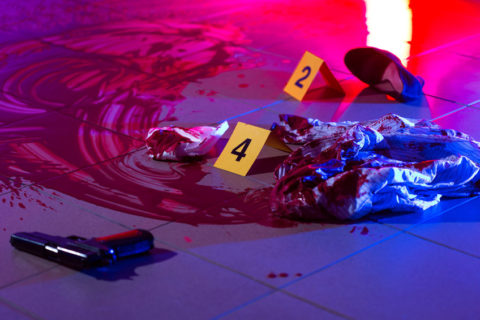 biohazard cleanup services