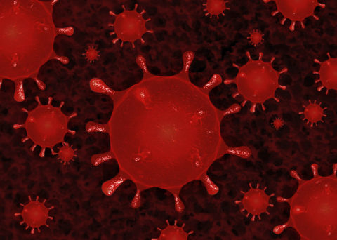 infectious disease